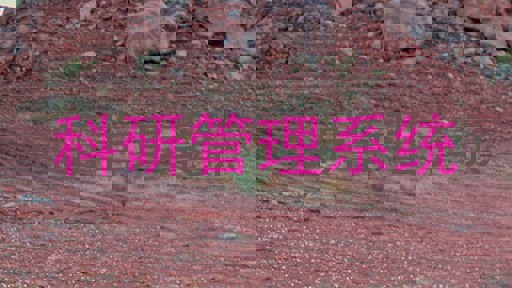 科研管理系统