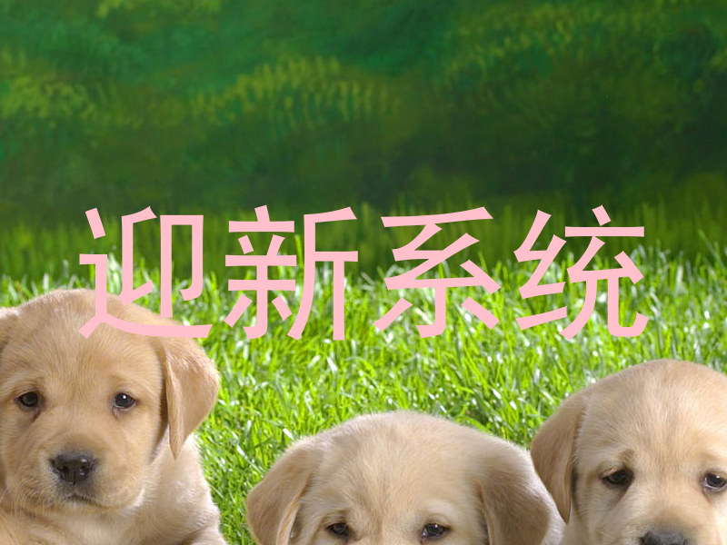 迎新系统