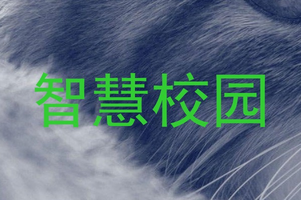 智慧校园
