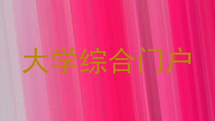 大学综合门户