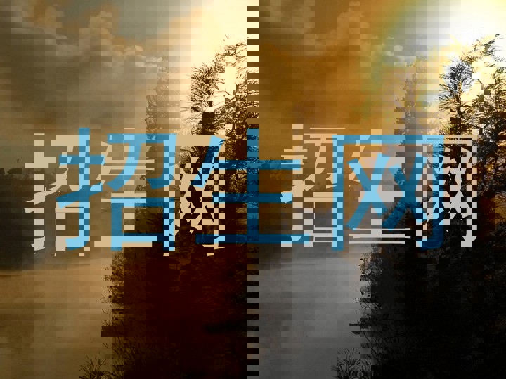招生网