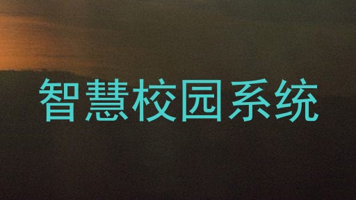 智慧校园系统