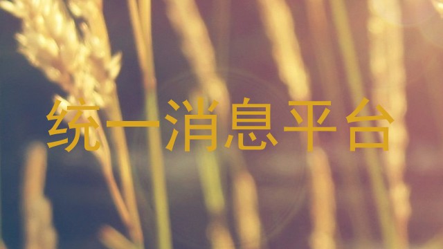 统一消息平台