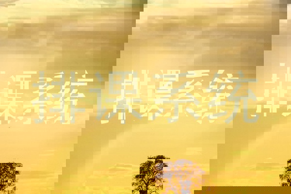 排课系统