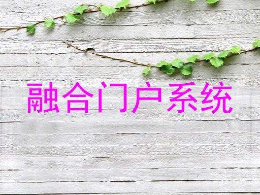 融合门户系统