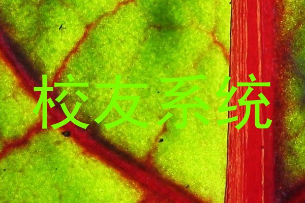 校友系统
