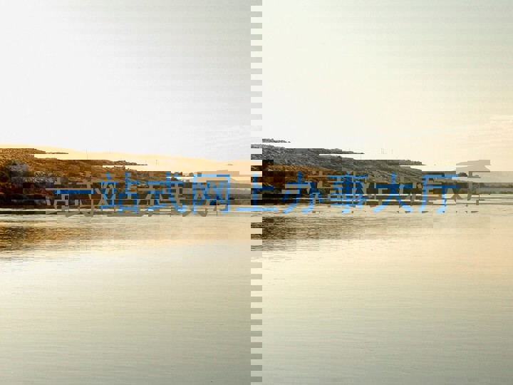 一站式网上办事大厅