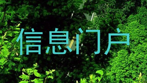 信息门户