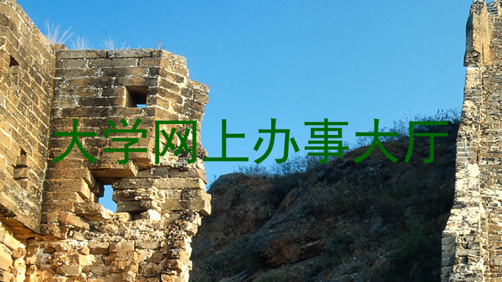 大学网上办事大厅