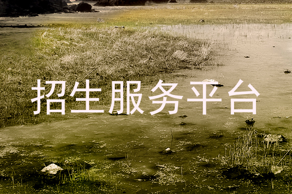 招生服务平台
