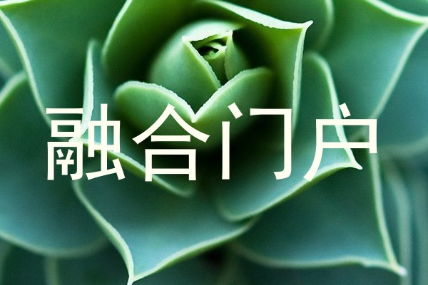 融合门户