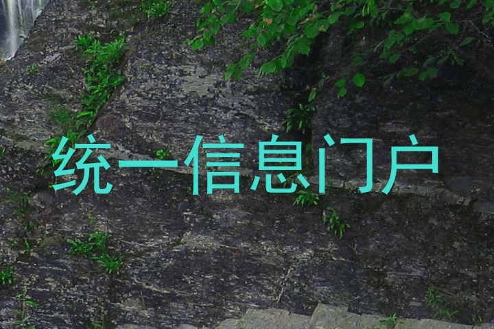 统一信息门户