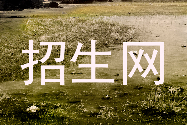 招生网