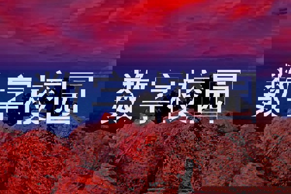 数字校园