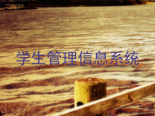 学生管理信息系统