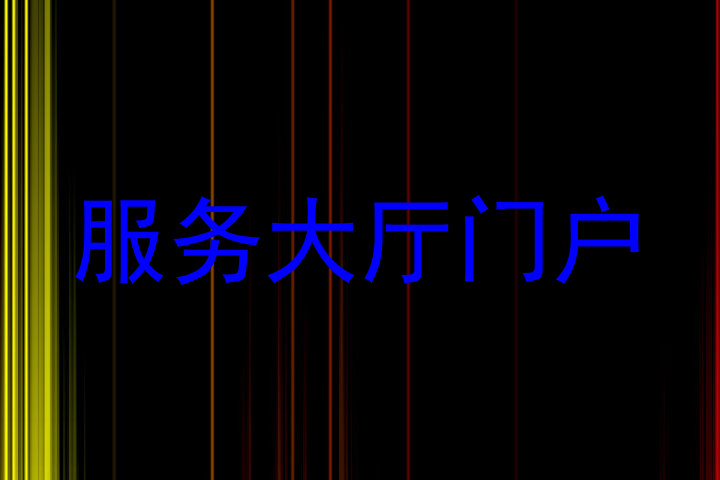 服务大厅门户