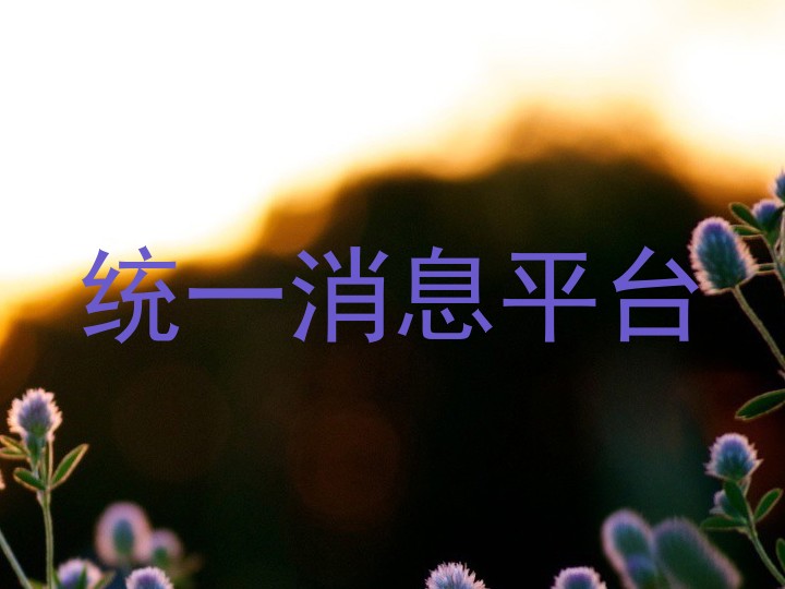 统一消息平台