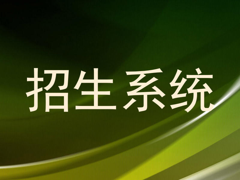 招生系统