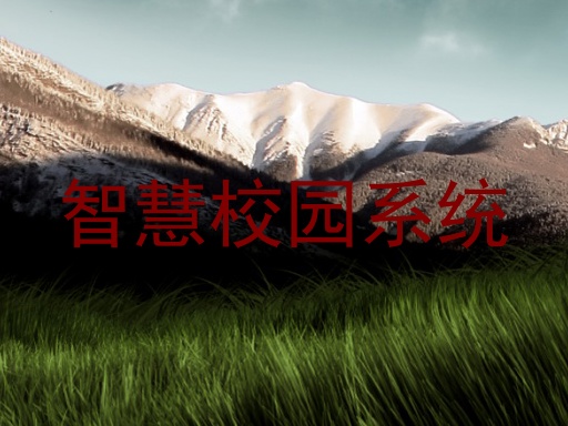 智慧校园系统