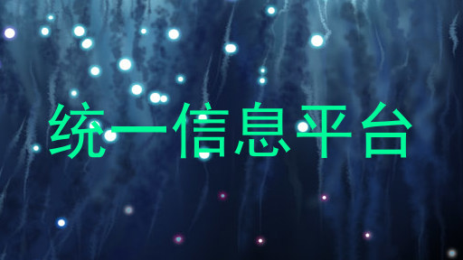 统一信息平台