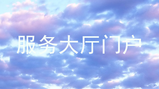 服务大厅门户