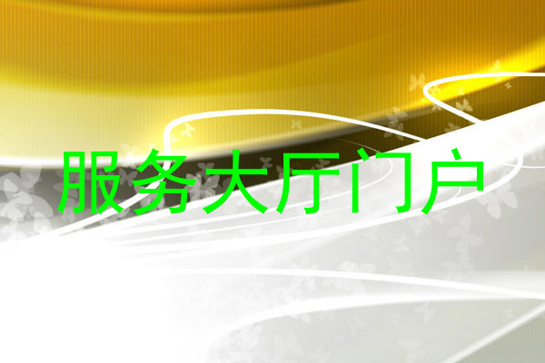 服务大厅门户