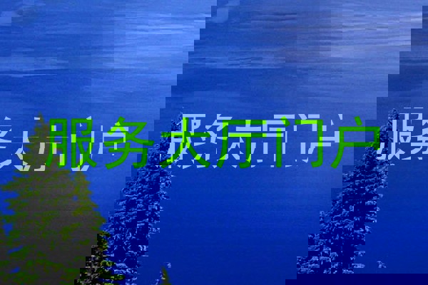 服务大厅门户