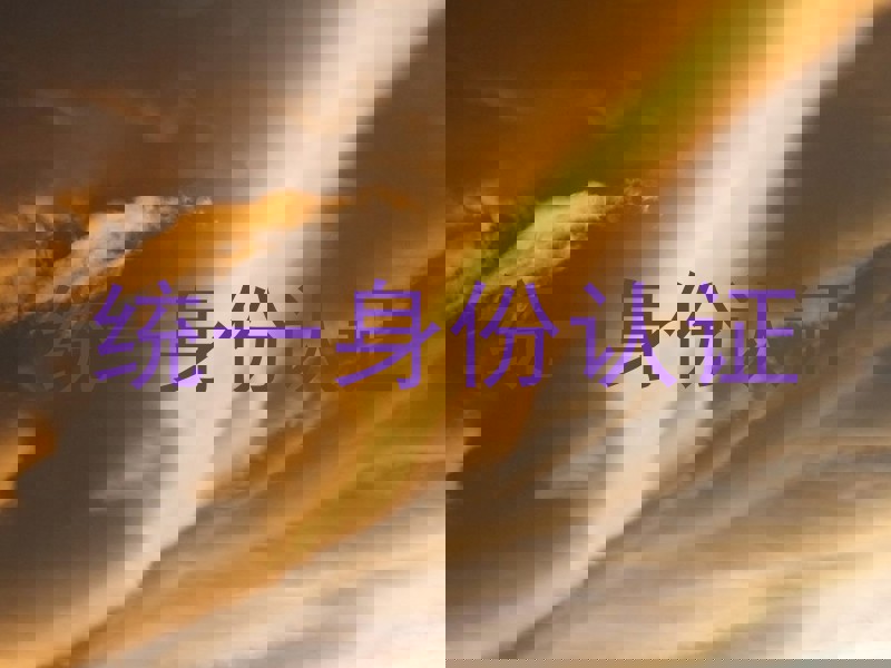 统一身份认证