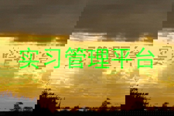 实习管理平台