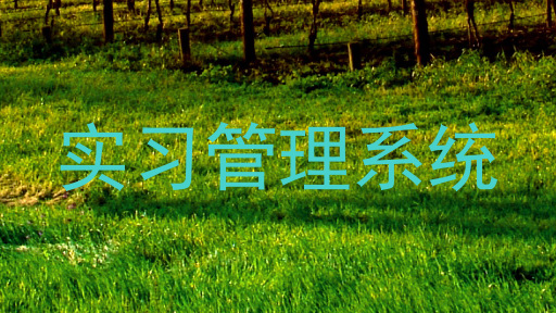 实习管理系统