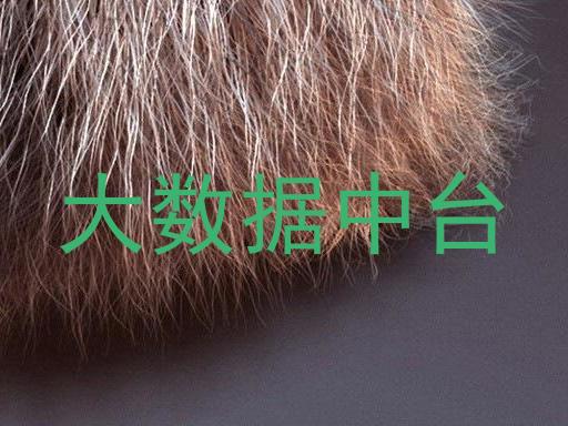 大数据中台