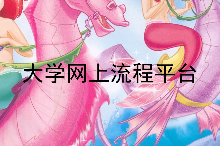 大学网上流程平台