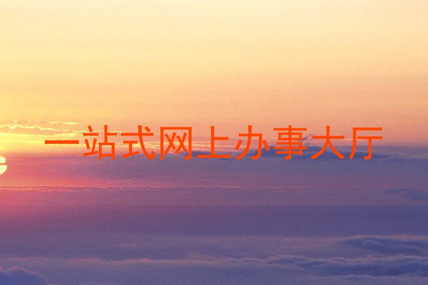 一站式网上办事大厅