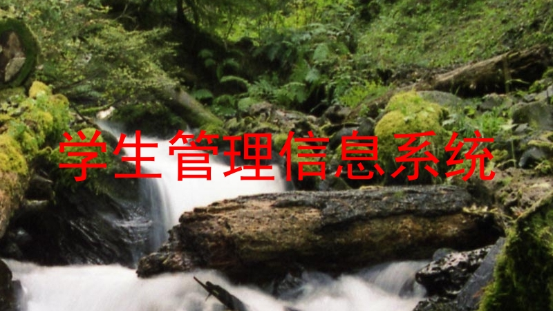 学生管理信息系统