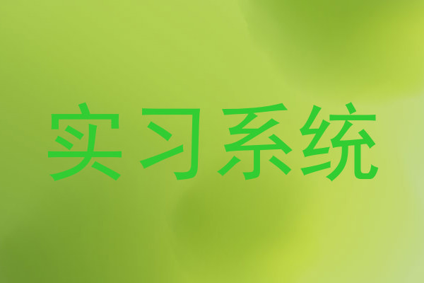 实习系统
