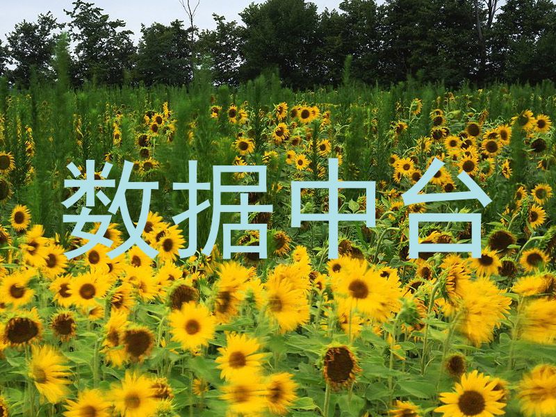 数据中台