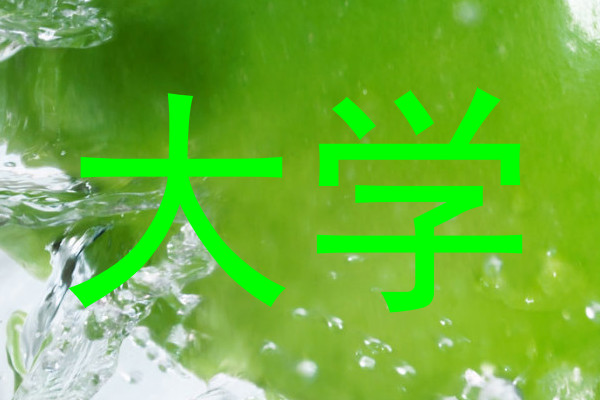 大学