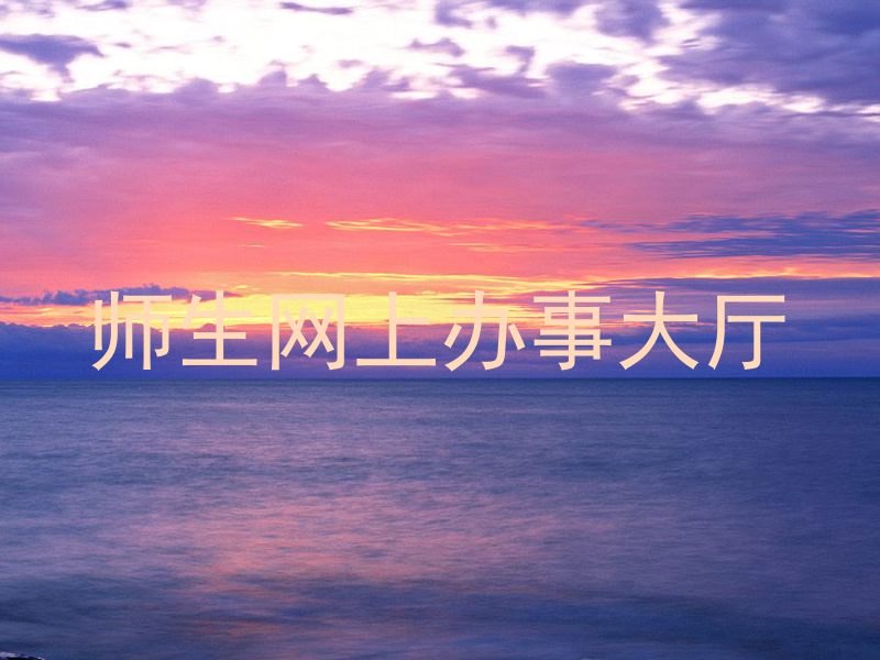 师生网上办事大厅