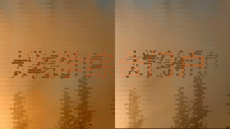 大学综合门户