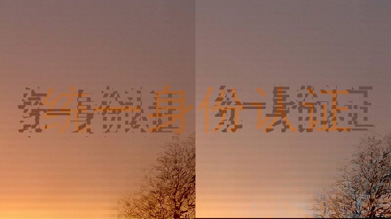 统一身份认证
