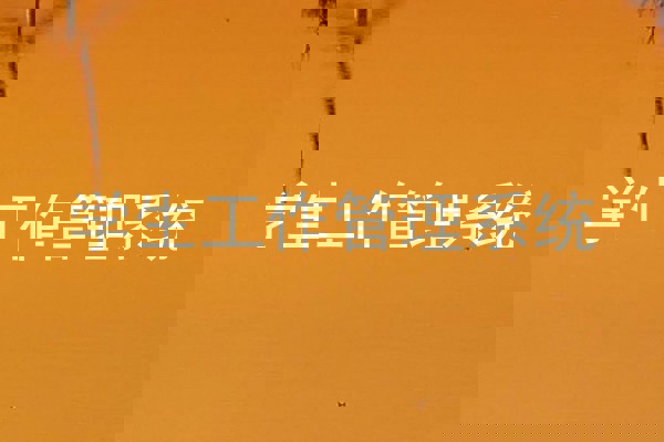 学生工作管理系统