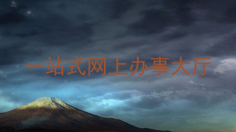 一站式网上办事大厅