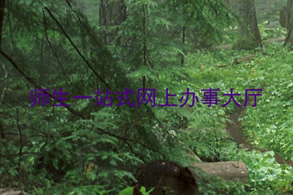 师生一站式网上办事大厅