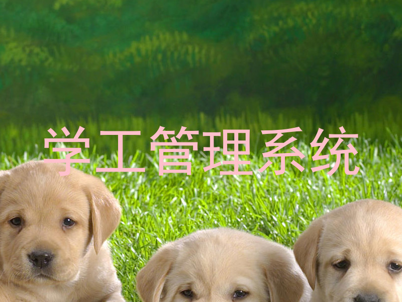 学工管理系统