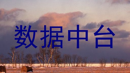 数据中台