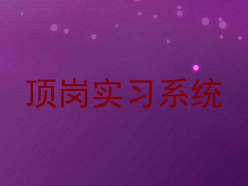 顶岗实习系统