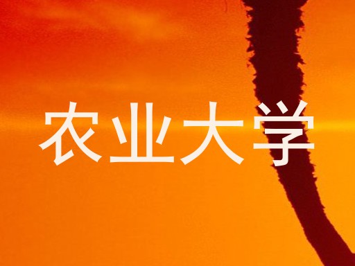 农业大学