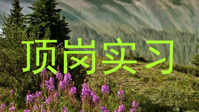 顶岗实习