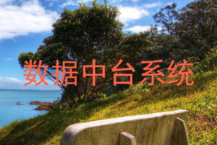 数据中台系统