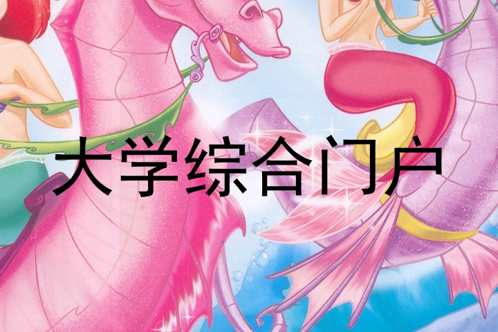 大学综合门户
